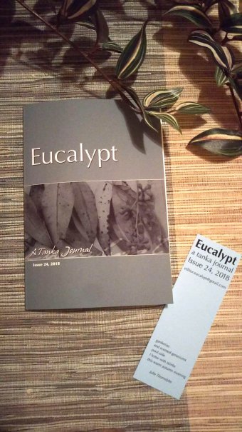 20180617_eucalypt_01.jpg