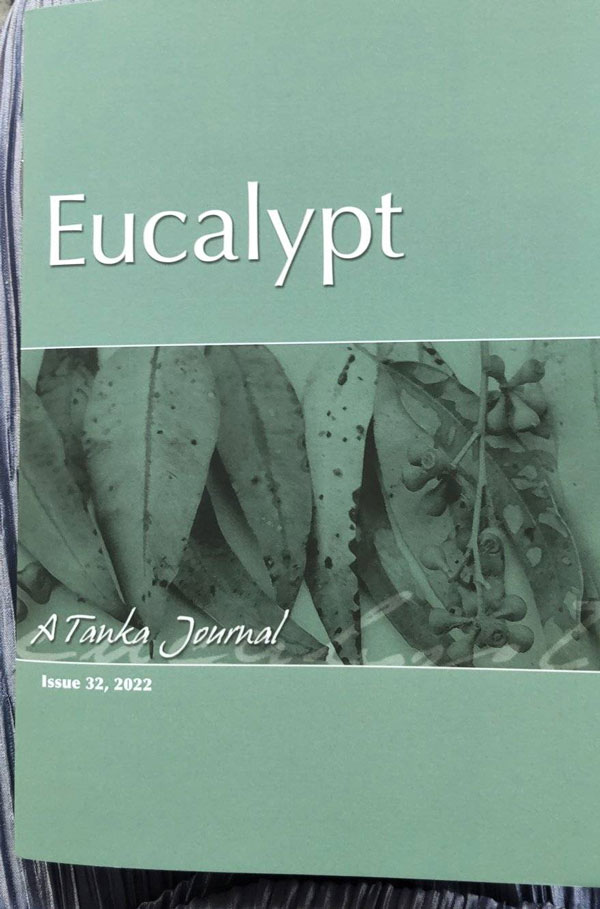 20220630_Eucalypt_01.jpg