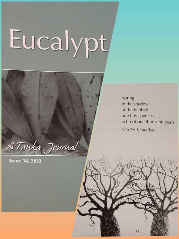 Eucalypt_Issue34_2023.jpg